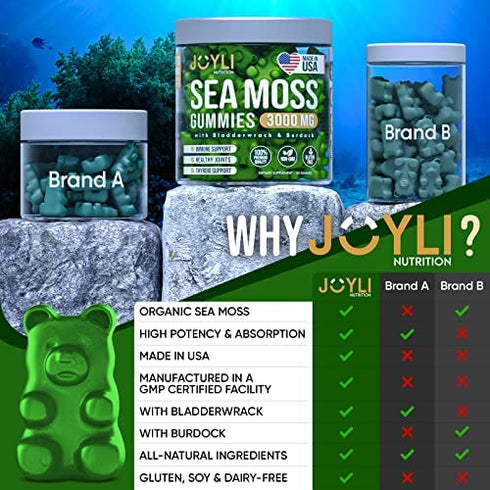Organic Sea Moss Gummies for Adults & Kids - USA Made Irish Sea Moss Supplement - Raw Seamoss, Bladderwrack & Burdock for Immunity, Thyroid & Joints Support - 60 Non-GMO Seamoss Gummies Vegan