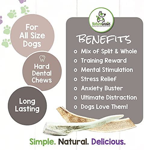 Nature Gnaws Deer Antlers for Small Dogs - Premium Natural USA Antler - Long Lasting Dog Chews for Aggressive Chewers - Mix of Split and Whole - 4-7 Inch