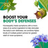 BHI Flu + Cold Multi-Symptom Relief Natural Safe Non-Drowsy Remedy 11 Targeted Homeopathic Active Ingredients for Body Aches, Fatigue, Chills & Headache - 100 Tablets
