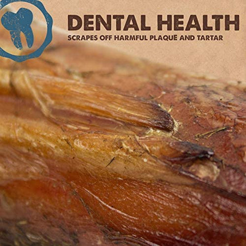 Downtown Pet Supply - Dog Bones for Aggressive Chewers - Natural Beef Bones for Dogs - Beef Marrow, Calcium, Glucosamine & Chondroitin for Joint Health - Dog Dental Chew - Craft Cut Shin Bone - 1Ct
