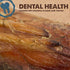 Downtown Pet Supply - Dog Bones for Aggressive Chewers - Natural Beef Bones for Dogs - Beef Marrow, Calcium, Glucosamine & Chondroitin for Joint Health - Dog Dental Chew - Craft Cut Shin Bone - 1Ct