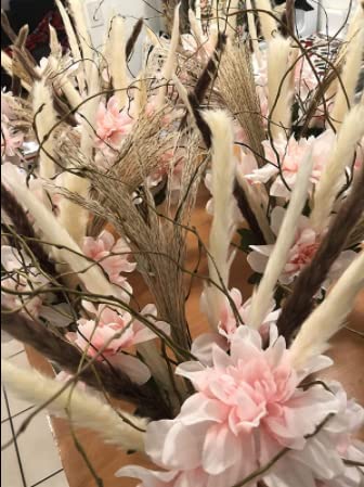 60pcs Natural Dried Pampas Grass,20 Pcs White Pampas & 20 Pcs Brown Pampas & 20 Pcs Reed Grass Boho Decor Wedding Decorations Flower Arrangements Home Decor