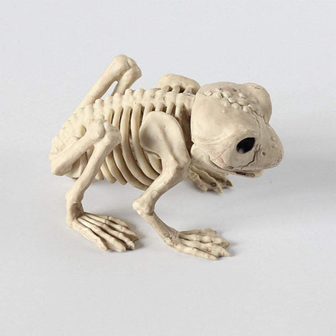 BESTOYARD 1pc Halloween Animal Scary Skeleton Props Happy Halloween Spooky Skull Animal Skeleton Frame (Frog)