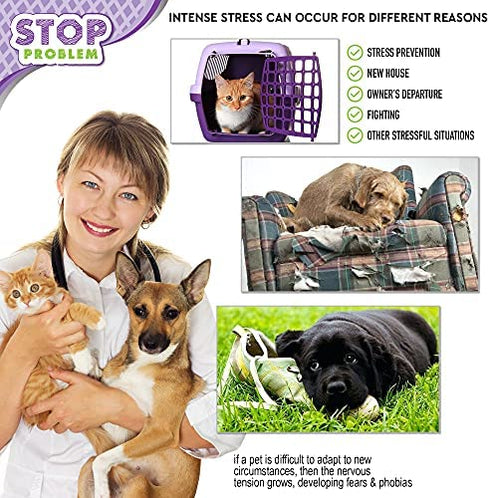 Beloved Pets Cat Calming Diffuser & Pet Anti Anxiety Products - Feline Calm Pheromones Plug in & Cats Stress Relief Comfort Help with Aggression, New Zone, Pee, Fighting with Dogs & Other Behavior