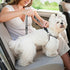Seat Belt for Dogs with Elastic Bungee Buffer | Car Travel Accessories for Dogs Adjustible, Elastic (Grey)