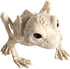 BESTOYARD 1pc Halloween Animal Scary Skeleton Props Happy Halloween Spooky Skull Animal Skeleton Frame (Frog)