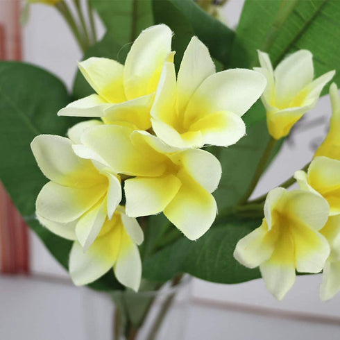 LIUCOGXI 37 inch Artificial Plumeria Frangipani Flower Bouquet with Long Stem for Home Party Bridal Wedding Bouquet Floor Flower Decoration