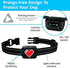 Small Dog Bark Collar Rechargeable - Anti Barking Collar for Small Dogs - Smallest Most Humane Stop Barking Collar - Dog Training No Shock Bark Collar Waterproof - Safe Pet Bark Control Device