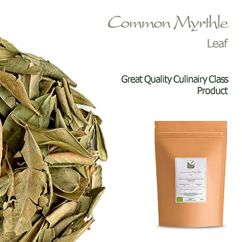 Myrtle Dried Herb Leaf - Loose Leaves From Common Myrtle Myrtus Communis Myrtle Dry Leaf Myrtle Leaf Myrtle Dry Leaves Myrtle Leaves Dried 100g