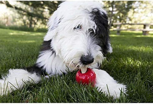 KONG - Ziggies - Teeth Cleaning Dog Treats for KONG Classic Rubber Toys - Chicken Flavor for Large Dogs (8 Ounce)