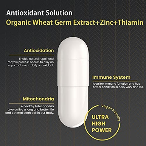 Enerrgecko Spermidine Wheat Germ Extract Capsules- Spermidine Supplement 1000 mg Potent Formula with Zinc for Mitochondrial Rescue, 60 Count (Pack of 1)