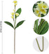 LIUCOGXI 37 inch Artificial Plumeria Frangipani Flower Bouquet with Long Stem for Home Party Bridal Wedding Bouquet Floor Flower Decoration