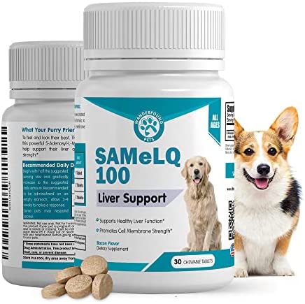 SAMeLQ 100, Liver Support for Dogs, SAM e Chewable Hepatic Support for Dogs, Promotes Cell Membrane Strength, Bacon Flavor (30 Count)