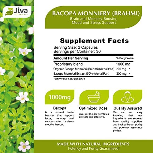 Jiva Botanicals - Bacopa Monnieri Capsules - Brahmi Capsules - Bacopa Extract Capsules - Bacopa Capsules - Bacopa Monnieri Extract - Bacopa 300mg - Bacopa Supplement & Brahmi Supplement - 60 Capsules