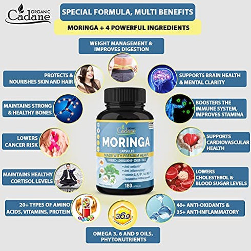 Organic Moringa Extract Capsules equivalent to 6450mg, 6 Months Supply & Ashwagandha, Tulsi, Ginger, Turmeric| Energy Booster, Immune Support| Multi Vitamin Oleifera Leaf|Antioxidant Inflammatory Herb