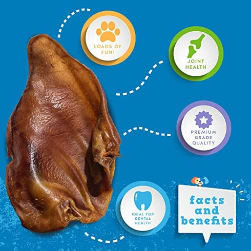 Jack&Pup Whole Pig Ears for Dogs - Extra Thick Large Pigs Ears - Premium Dog Pig Ear Treats - Natural Dog Pork Chews; Excellent Rawhide Alternative (Whole Pig Ears - (8 Pack)