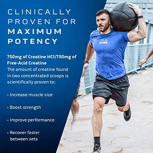 Creatine Powder | MuscleTech Cell-Tech Creactor Creatine HCl Powder | Post Workout Muscle Builder for Men & Women | Creatine Hydrochloride + Free-Acid Creatine | Unflavored HCl Creatine (120 Servings)