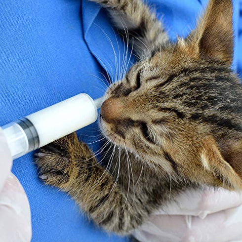 Boao 10 Pack Plastic Syringe Liquid Measuring Syringes Without Needle for Epoxy Resin, Craft, Scientific Labs, Feeding Pets Animals, Oil or Glue Applicator (60 ML)