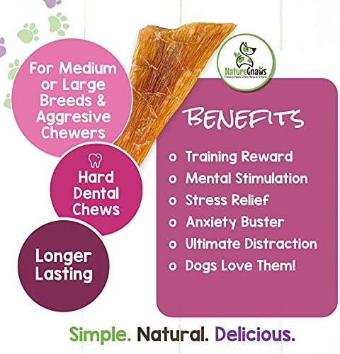 Nature Gnaws Paddywack Tendons for Dogs - Premium Natural Beef Dental Bones - Long Lasting Dog Chew Treats for Medium & Large Dogs - Rawhide Free
