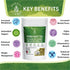 Yerba Mate Tea with Natural Organic Yerba Matte (50 tea bags)| Rich in Chlorophyll, Antioxidants and Vitamins| Made in USA