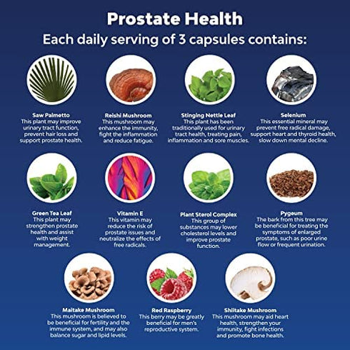 Natural Prostate Support Health Supplement Pure Extract Pills Formula Saw Palmetto Extract Capsules Plant Sterol Complex – Halal Urinary System Boost Vitamins Hair Growth for Men by Natures Craft