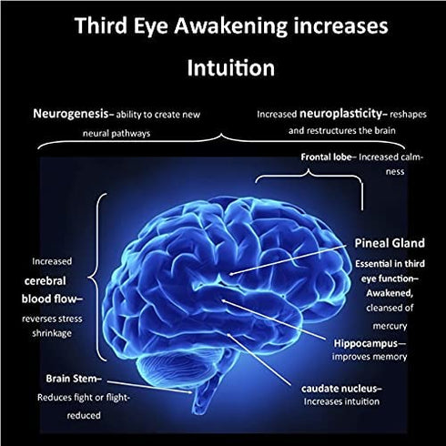 Third Eye Awakening - Organic Haritaki Capsules- Kailash Herbals-100 Capsules- 650 mg Each-Terminalia chebula