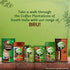 Bru Instant coffee, 100 grams pack, 3.5 oz, India - instant coffee-chicory mixture made from blends of coffee and chicory - Vegetarian