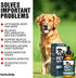 Charlie & Buddy H?mp Oil Dogs Cats - Helps Pets with ?nxiety, P?in, Str?ss, Sl??p, ?rthritis, S?izures R?lief - ?ip J?int H?alth - 100 Natural Pure Drops, Organic C?lming Tr?ats