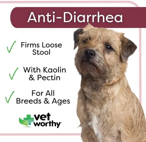 Vet Worthy Anti-Diarrhea for Dogs - Dog Supplement to Help Relieve Diarrhea, Stomach Upset, and Discomfort - Pet Digestive Health Support with Kaolin and Pectin - 4 oz