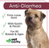 Vet Worthy Anti-Diarrhea for Dogs - Dog Supplement to Help Relieve Diarrhea, Stomach Upset, and Discomfort - Pet Digestive Health Support with Kaolin and Pectin - 4 oz