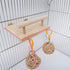 Bird Perches Cage Toys, Bird Wooden Play Gyms Stands with Acrylic Wood Swing, Rattan Ball, Ferris Wheel, Bird Perch Chewing Toys for Green Cheeks, Baby Lovebird, Chinchilla, Hamster