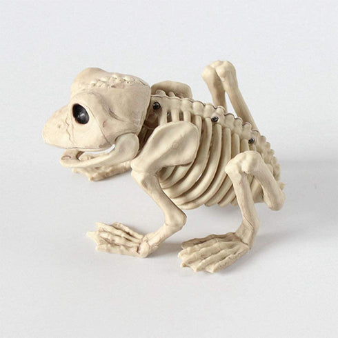 BESTOYARD 1pc Halloween Animal Scary Skeleton Props Happy Halloween Spooky Skull Animal Skeleton Frame (Frog)