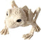 BESTOYARD 1pc Halloween Animal Scary Skeleton Props Happy Halloween Spooky Skull Animal Skeleton Frame (Frog)
