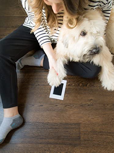 Pearhead Small Pet Paw Print Clean-Touch Ink Pad and Imprint Cards, for Small Sized Cats or Dogs, Pet Owner Gifts, DIY Keepsake Pawprint Maker, Black