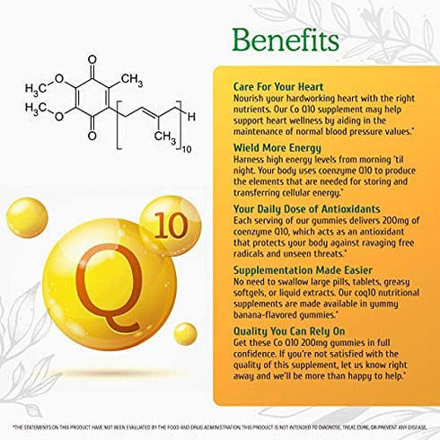 Wild & Organic CoQ10 Gummies 200 mg - Natural Coenzyme Q10 Nutritional Supplement - Antioxidant Support, Helps Promote Brain & Heart Wellness, Boost Energy Levels - 60 Banana-Flavored Chewable Bears