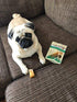 Authentic Himalayan Cheese Dog Chews, Medium Chews (Pack of 3), Yak Chews for Dogs Under 45 lbs