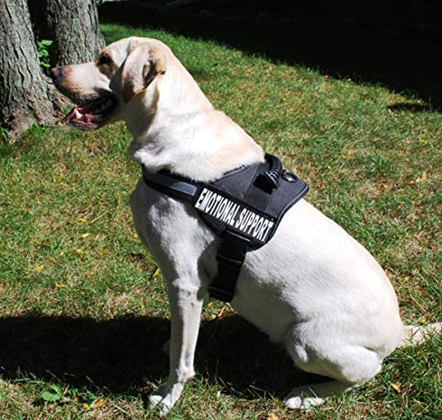 Doggie Stylz Set of 2 Reflective Emotional Support Removable Patches with Hook Backing for Working Dog Harnesses & Vests. Durable and Interchangeable - Comes in 3 Sizes Small, Medium and Large