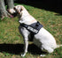 Doggie Stylz Set of 2 Reflective Emotional Support Removable Patches with Hook Backing for Working Dog Harnesses & Vests. Durable and Interchangeable - Comes in 3 Sizes Small, Medium and Large