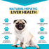 SAMeLQ 100, Liver Support for Dogs, SAM e Chewable Hepatic Support for Dogs, Promotes Cell Membrane Strength, Bacon Flavor (30 Count)