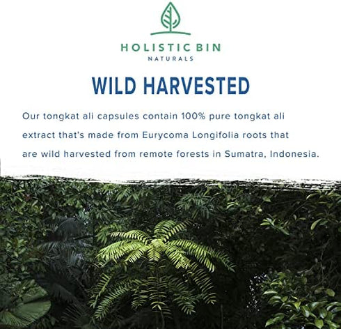 Holistic Bin Indonesian Tongkat Ali Capsules 1000mg Per Serving | Wild Harvested Eurycoma Longifolia Roots from Sumatra | No Fillers - 100% Pure Tongkat Ali for Men and Women (30 Day Supply)