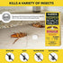 Harris Roach Tablets, Boric Acid Roach Killer with Lure, Alternative to Bait Traps (6oz, 145 Tablets)