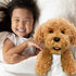 Aurora Labradoodle - Plush Stuffed Animal Puppy Dog - Adorable Goldendoodle for Gifts, Emotional Support, Toy - Golden Brown Poodle - Ultra Soft & Realistic, 10 Inch