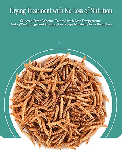 Reptile Food Dried Mealworms Pet Worms Food for Bearded Dragon, Lizard, Turtles, Chameleon, Monitor, Frog, Sugar Glider, Chickens, Ducks, Wild Birds, Fish, Hamsters and Hedgehogs (3.5 OZ)