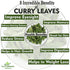 Ceylonflavors Curry Leaves Gluten Free Naturally Air Dried Herbs Fresh Groceries with All Flavors Asian Food Spices Pure and Organic - Kari Patta 0.5 oz / 15 g