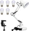 Gupuzm Led Desk Lamp with Clamp - Swing Arm Desk Lamp with 5 LED Cold Light Bulbs 6500K - Folding Table Lamp?Used for Office, Work, Study, Dormitory Reading and Eye Protection Desk Lamp (White)