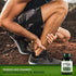 Tendon Mending Pills Tendon and Ligament Regeneration and Repair by Dimmak Herbs - 400 Milligrams, 100 Capsules