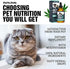 Charlie & Buddy H?mp Oil Dogs Cats - Helps Pets with ?nxiety, P?in, Str?ss, Sl??p, ?rthritis, S?izures R?lief - ?ip J?int H?alth - 100 Natural Pure Drops, Organic C?lming Tr?ats