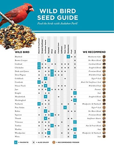 Audubon Park 13065 High Energy Suet Cake Wild Bird Food, 11-Ounces