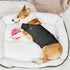 Apetian Anxiety Vest for Dogs Thunder Jacket Calming Shirts for Dogs Anxiety Jacket Dog Compression Vest Calming Wrap (A1-Dark Grey, Large)