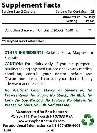 Best Naturals Dandelion Root 520 mg 250 Capsules